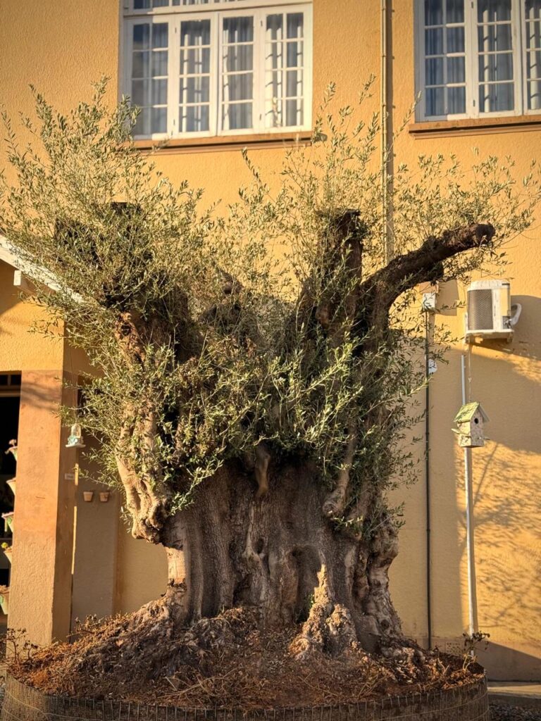 422a61ef-e2e0-44ce-adb5-43535045b6d0