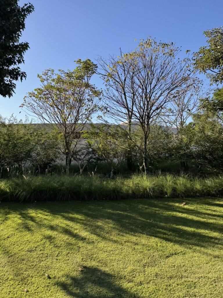 PAISAGISMO6