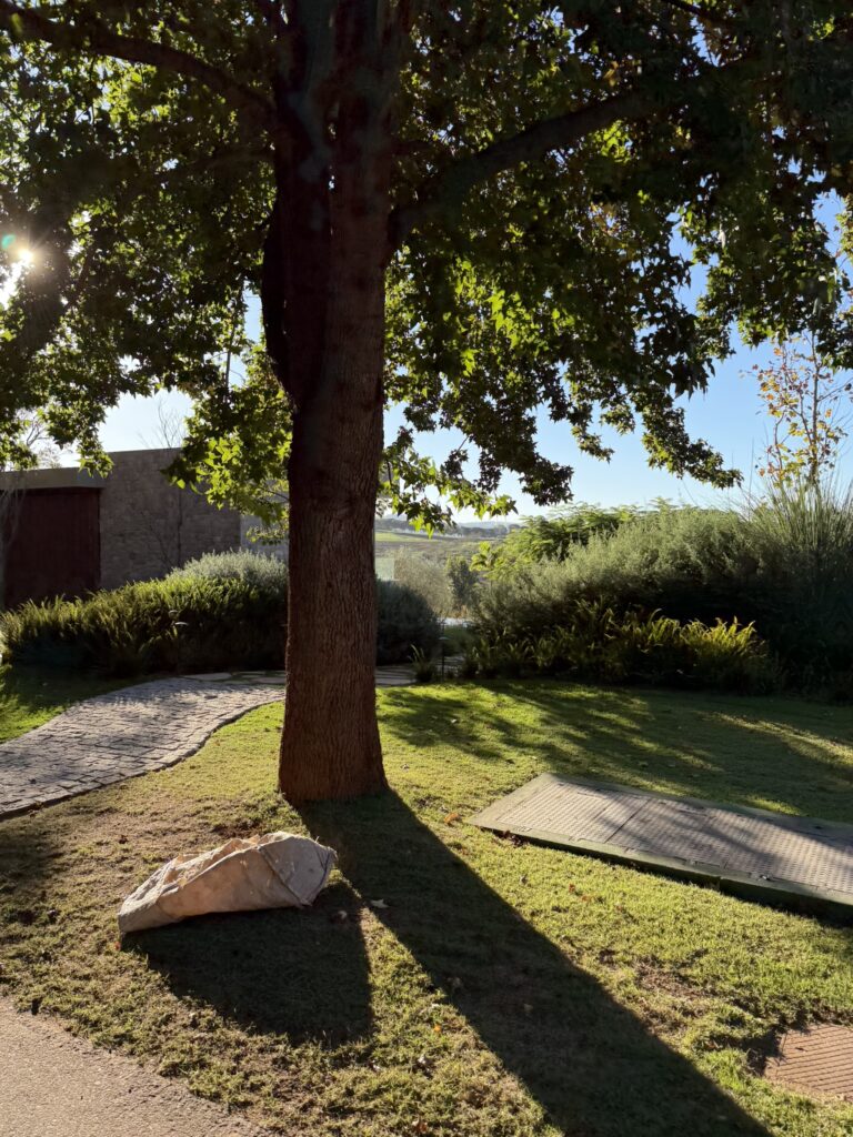 PAISAGISMO7