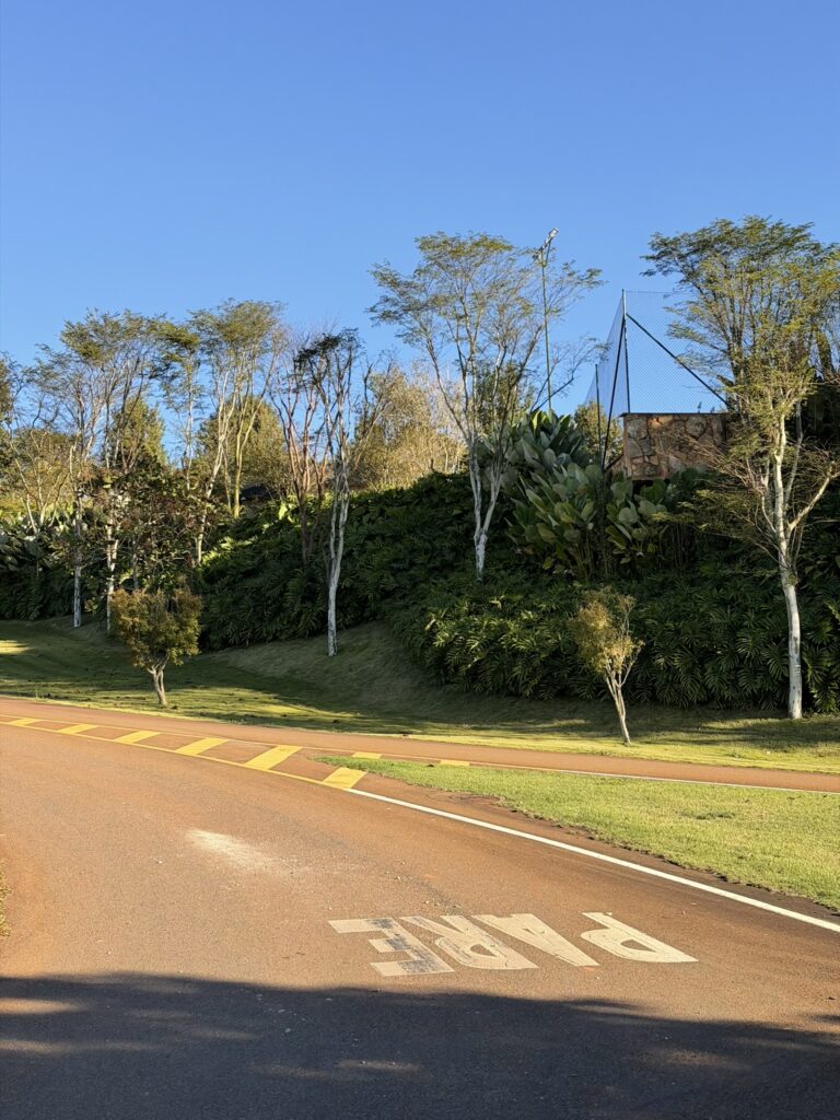 PAISAGISMO8